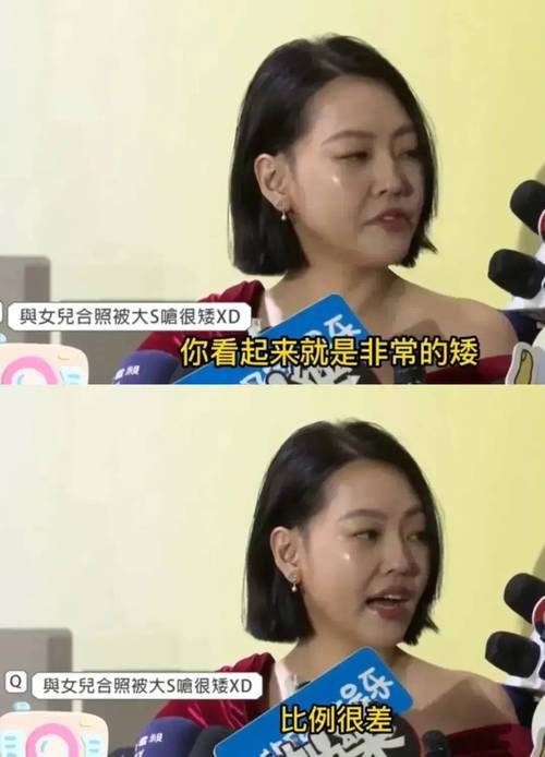 小S事业起飞金钟奖入围，姐妹命运大不同引热议